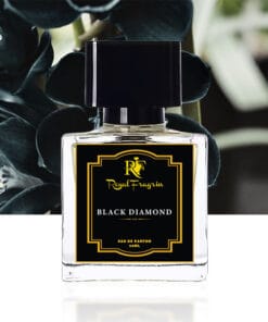 Black Diamond – Impression of Black Orchid