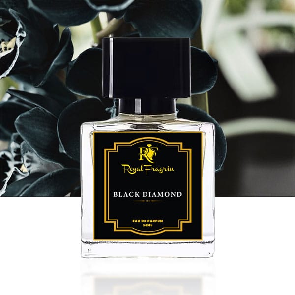Black Diamond – Impression of Black Orchid