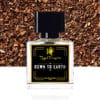 Down to Earth – Impression of White Oudh